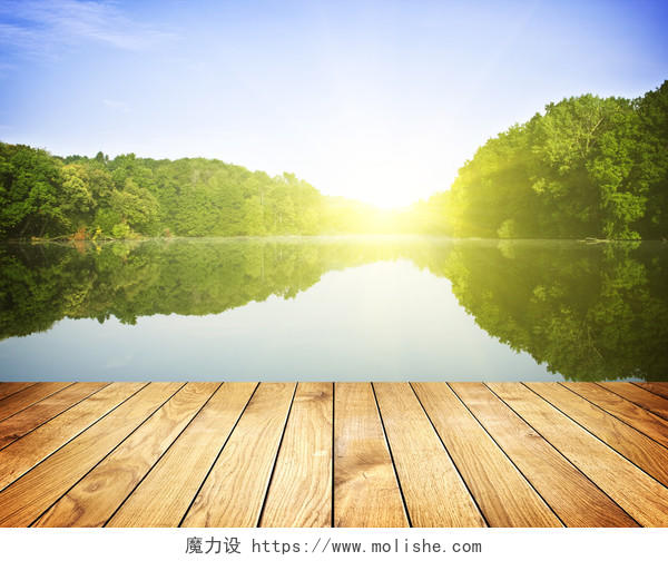 关于森林湖和木板出让日落